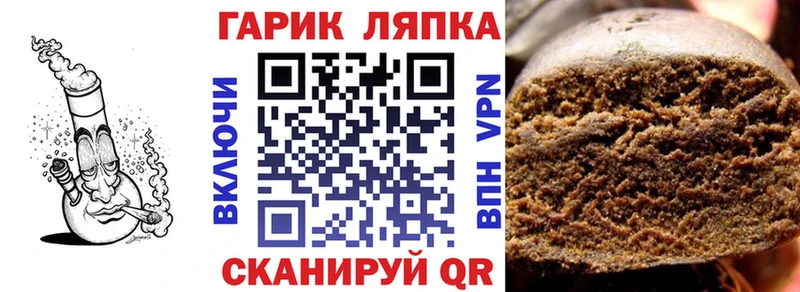 ГАШ Изолятор  Краснозаводск 