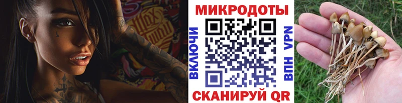блэк спрут рабочий сайт Краснозаводск Галлюциногенные грибы прущие грибы где купить наркоту